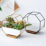 Minimalist Octagonal Geometric Wall Hanging Table Succulents Ceramic Flower Pot Bamboo Tray Iron Frame Set Crafts 067e0583 148f 4dc9 baba 28e210b886d6