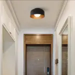 MinimalistBowlShapedMetalCeilingLight_1 MinimalistBowlShapedMetalCeilingLight