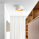MinimalistBowlShapedMetalCeilingLight_3 MinimalistBowlShapedMetalCeilingLight