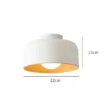 MinimalistBowlShapedMetalCeilingLight_6 MinimalistBowlShapedMetalCeilingLight