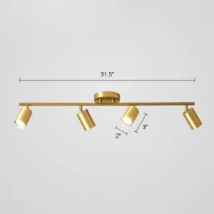 Minimalist LED Ceiling Lamp with Golden Tubular Track and Metal Shade
