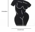 Minimalist Contrast Acryclic Body Vase