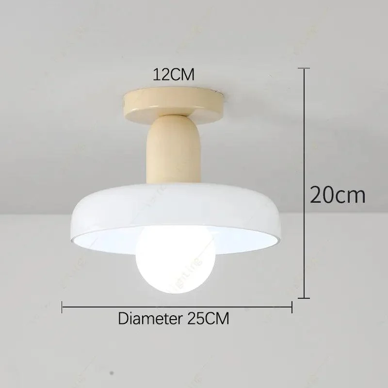 Minimalist Pastel Milk Glass Penadant Light -