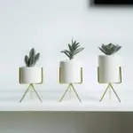 Minimalist_Plant_Pot_Set_-_Stylish_Chic_Home_Decoration_-_-4340596 Minimalist Plant Pot Set Stylish Chic Home Decoration