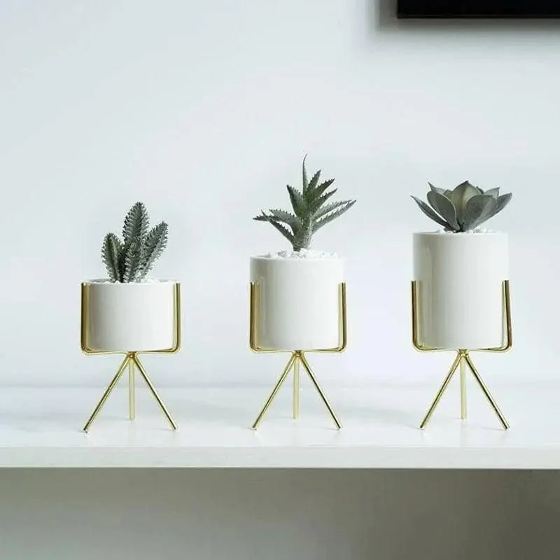Minimalist Plant Pot Set - Stylish & Chic Home Decoration -