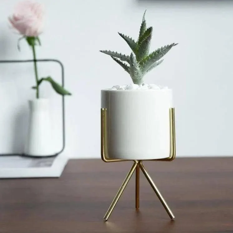 Minimalist Plant Pot Set - Stylish & Chic Home Decoration -