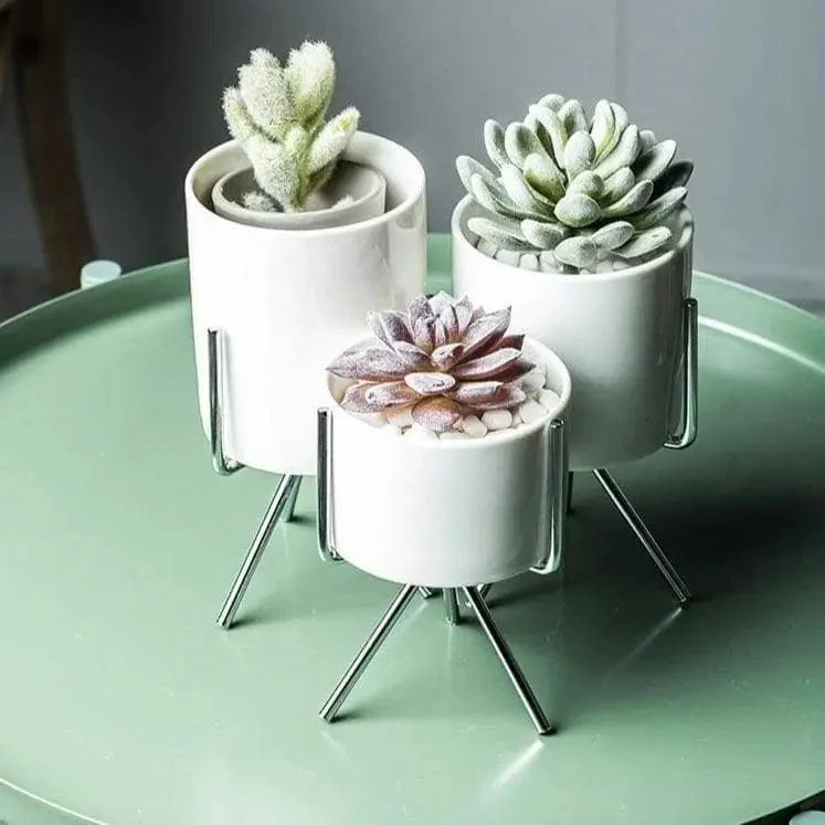 Minimalist Plant Pot Set - Stylish & Chic Home Decoration -
