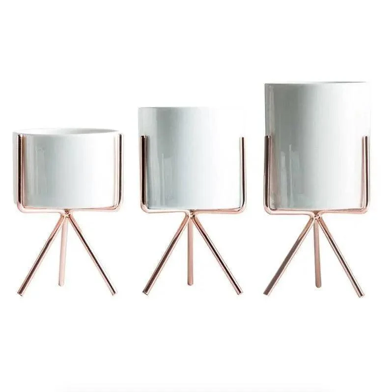 Minimalist Plant Pot Set - Stylish & Chic Home Decoration -