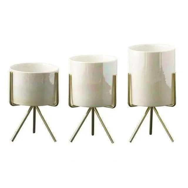 Minimalist Plant Pot Set - Stylish & Chic Home Decoration -