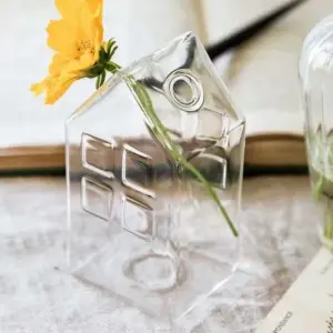 Minimalist Small House Shaped Glass Vase - 