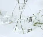 Minimalist Small House Shaped Glass Vase