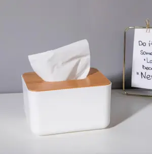 Minimalist Tissue Box