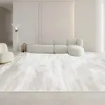 Minimalist White Gray Large Area Rug Carpet Refreshing Bedroom