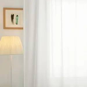 Mira Solid Transparent Custom Curtains