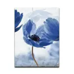 Mireille Canvas