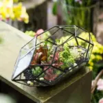 Modern Glass Flower Pot Large Irregular Polyhedral Geometric Glass Terrarium Lantern Succulent Plant Flowerpot 11 inches 5d6fb030 1083 4a32 86ab bca500202a49