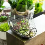 Modern Glass Flower Pot Large Irregular Polyhedral Geometric Glass Terrarium Lantern Succulent Plant Flowerpot 11 inches 61ae4d3a 1c37 46b0 a090 bf11f303c485