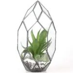 Modern Glass Flower Pot Large Irregular Polyhedral Geometric Glass Terrarium Lantern Succulent Plant Flowerpot 11 inches ada892c3 8a58 4b29 a510 f18f5d473549