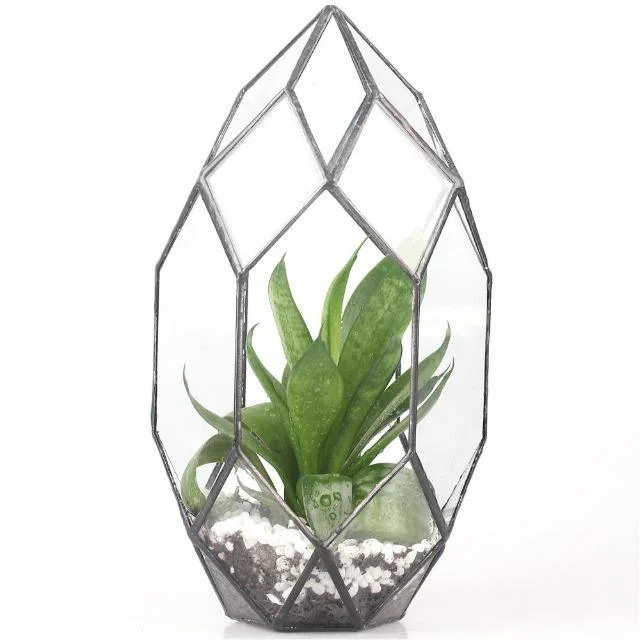 Modern Glass Flower Pot Large Irregular Polyhedral Geometric Glass Terrarium Lantern Succulent Plant Flowerpot 11 Inches Ada892c3 8a58 4b29 A510 F18f5d473549