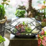 Modern Glass Flower Pot Large Irregular Polyhedral Geometric Glass Terrarium Lantern Succulent Plant Flowerpot 11 inches c634087e a43c 4b9a 8635 97e525fef6c9