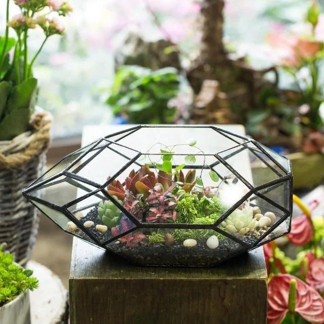 Modern Glass Flower Pot Large Irregular Polyhedral Geometric Glass Terrarium Lantern Succulent Plant Flowerpot 11 Inches C634087e A43c 4b9a 8635 97e525fef6c9