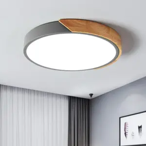 Modern LED Ceiling Lamp for Bedroom - Acrylic and Metal Round Recessed Lamp