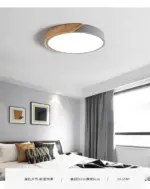 ModernLEDCeilingLampforBedroom AcrylicandMetalRoundRecessedLamp Homeko10