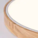 ModernLEDCeilingLampforBedroom AcrylicandMetalRoundRecessedLamp Homeko12