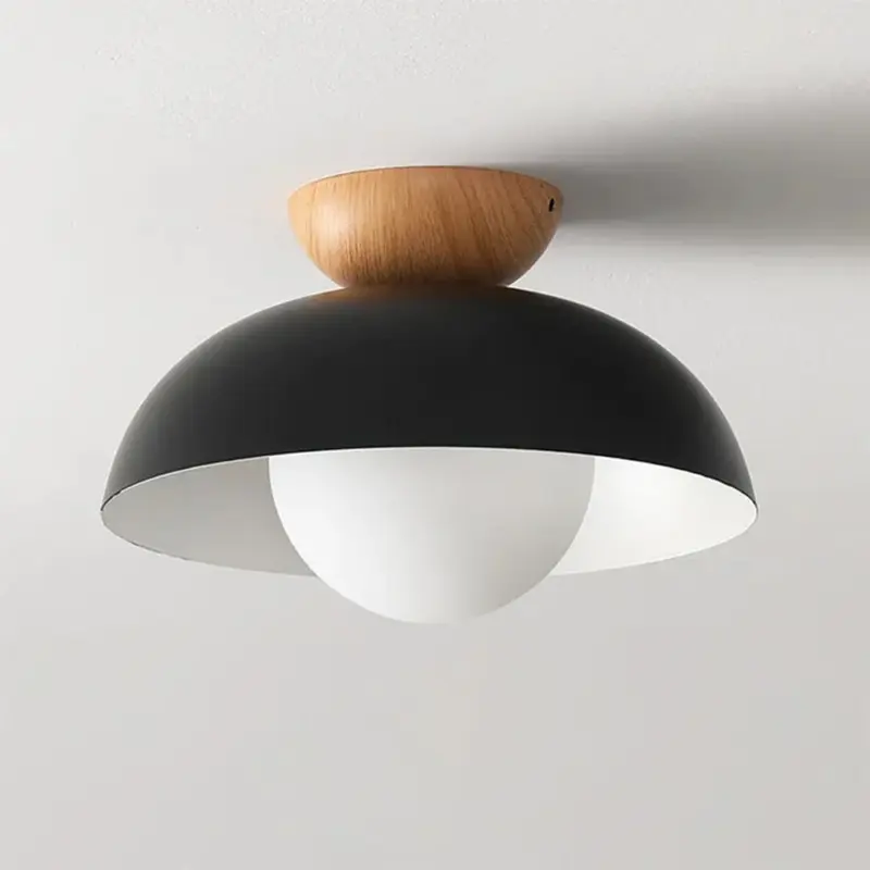 ModernMinimalistEco friendlyCeilingLight Homdiy
