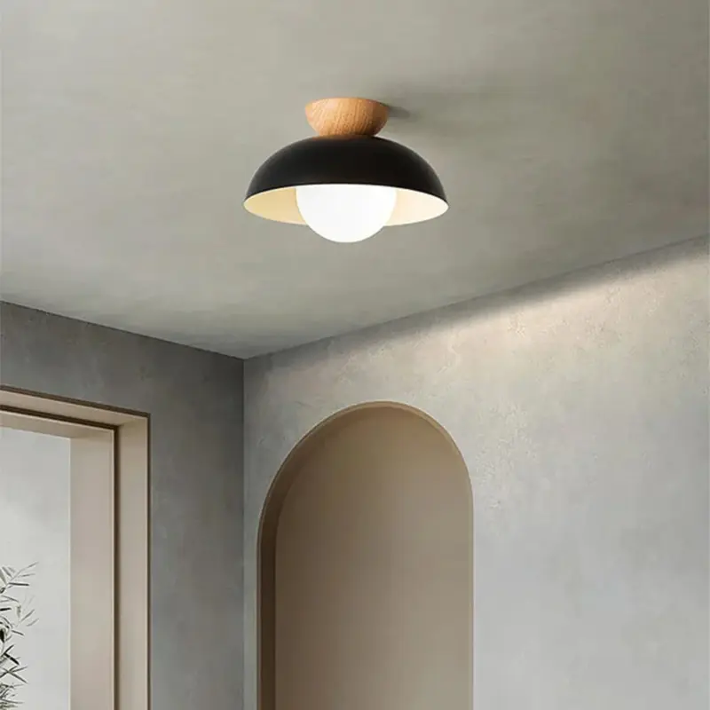 ModernMinimalistEco friendlyCeilingLight Homdiy