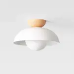 ModernMinimalistEco-friendlyCeilingLight_1 ModernMinimalistEco friendlyCeilingLight
