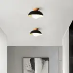 ModernMinimalistEco-friendlyCeilingLight_6 ModernMinimalistEco friendlyCeilingLight