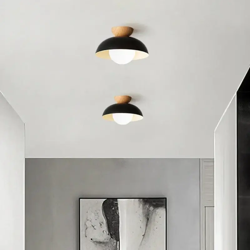 ModernMinimalistEco friendlyCeilingLight