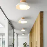 ModernNordicMinimalistEco-friendlyCeilingLight_1_ff11157f-c294-43f7-b228-c9e1529d4258 ModernNordicMinimalistEco friendlyCeilingLight 1 ff11157f c294 43f7 b228 c9e1529d4258