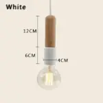 Modern_Colorful_Edison_Bulb_Pendant_Light_-_-4344634 Modern Colorful Edison Bulb Pendant Light