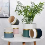 Modern_Flower_Pot_with_Gold_Rim_-_-4345166 Modern Flower Pot with Gold Rim