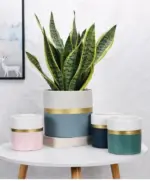 Modern_Flower_Pot_with_Gold_Rim_-_-4345171 Modern Flower Pot with Gold Rim