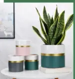 Modern_Flower_Pot_with_Gold_Rim_-_-4345174 Modern Flower Pot with Gold Rim
