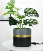 Modern_Flower_Pot_with_Gold_Rim_-_-4345179 Modern Flower Pot with Gold Rim