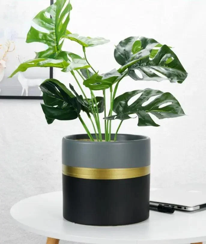 Modern Flower Pot with Gold Rim -