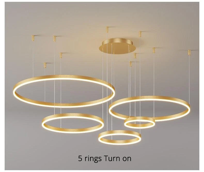 Modern Lighting 2 to 5 LED Circle Rings Ceiling Chandelier Living Room Home Decor -