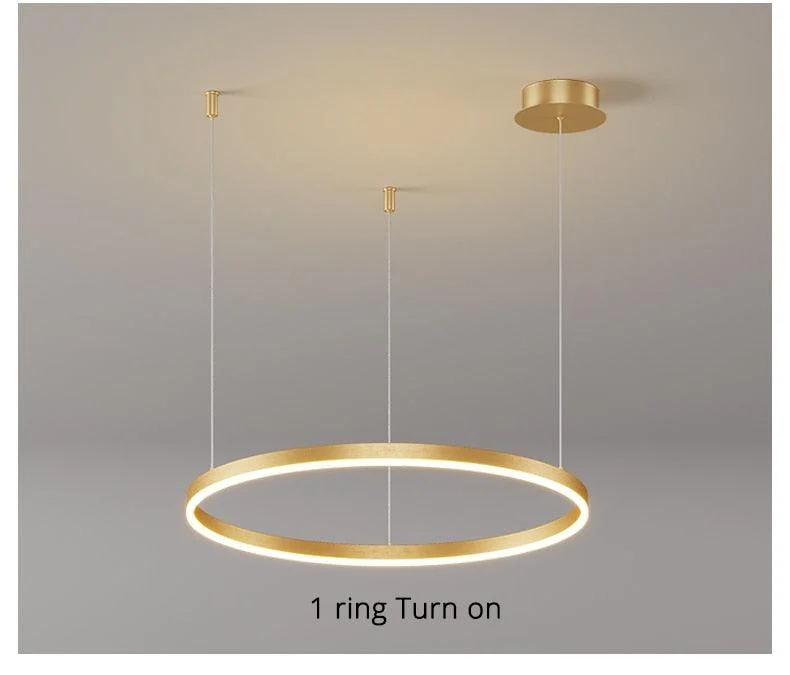 Modern Lighting 2 to 5 LED Circle Rings Ceiling Chandelier Living Room Home Decor -