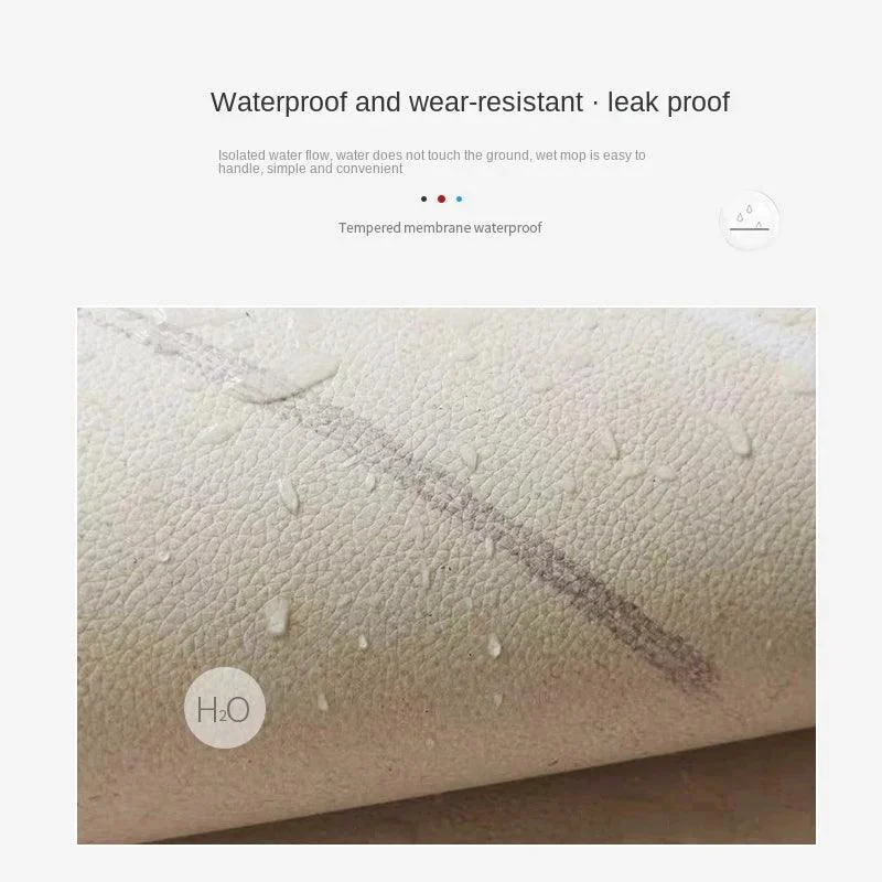 Modern Minimal White Black Mat Rug Large Area Non-slip Living Room -