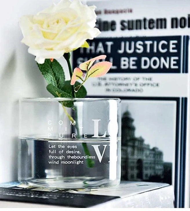 Modern Minimalist Glass Hydroponic Vase For Fresh and Dried Flowers -