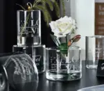 Modern Minimalist Glass Hydroponic Vase For Fresh and Dried Flowers