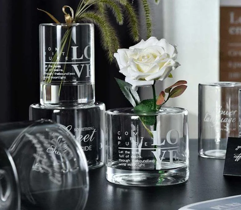 Modern Minimalist Glass Hydroponic Vase For Fresh and Dried Flowers -