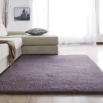 Modern Purple Green Rug For Living Room Carpet Soft non slip door mats