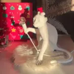 MonkeyTableLamp_17_ecfdf086-6215-4844-9503-52561f22660c MonkeyTableLamp 17 ecfdf086 6215 4844 9503 52561f22660c