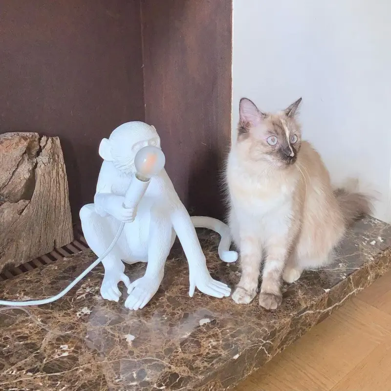 MonkeyTableLamp 1 66a9f781 f23e 404b 8c34 70a8b2bc9a4d
