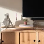 MonkeyTableLamp_23_ee3db2d3-6c50-41b9-abd8-9f02ea977dd6 MonkeyTableLamp 23 ee3db2d3 6c50 41b9 abd8 9f02ea977dd6